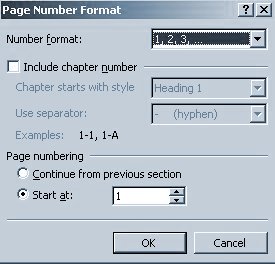 page number format