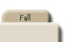 Fall
